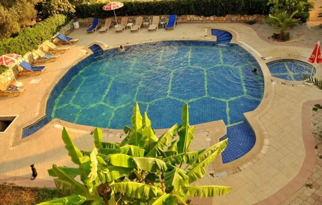 Turtle Apart Aparthotel Oludeniz